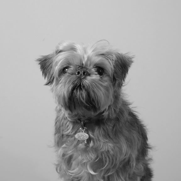 chewbecca_thumb.jpg